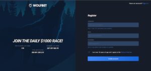 Wolfbet Rekisteröinti ja Jäsenyys