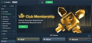 Duelbits VIP-ohjelma