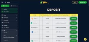 Winz.io Talletukset ja Kotiutukset